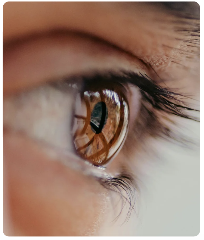 Optometrist Atkinson Eye Care Contact Lenses