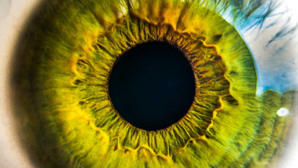 Scleral Lenses FAQ Atkinson Eye Care Algonquin